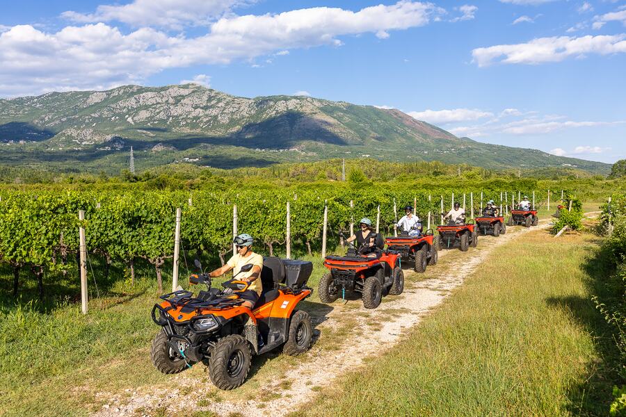 Kolona prelazi polje uz vinograd ispod planina