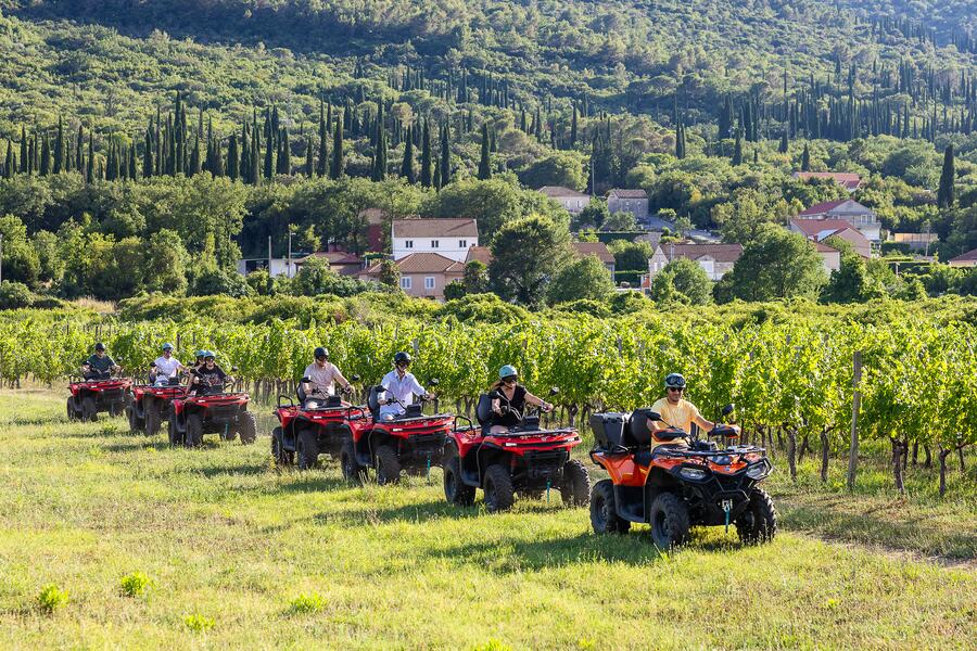 Quadovi kroz vinograd, selo i brdo čempresa iza